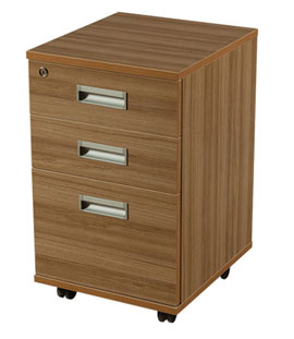 Best Pedestal Storage Service In Manesar And Gurgaon